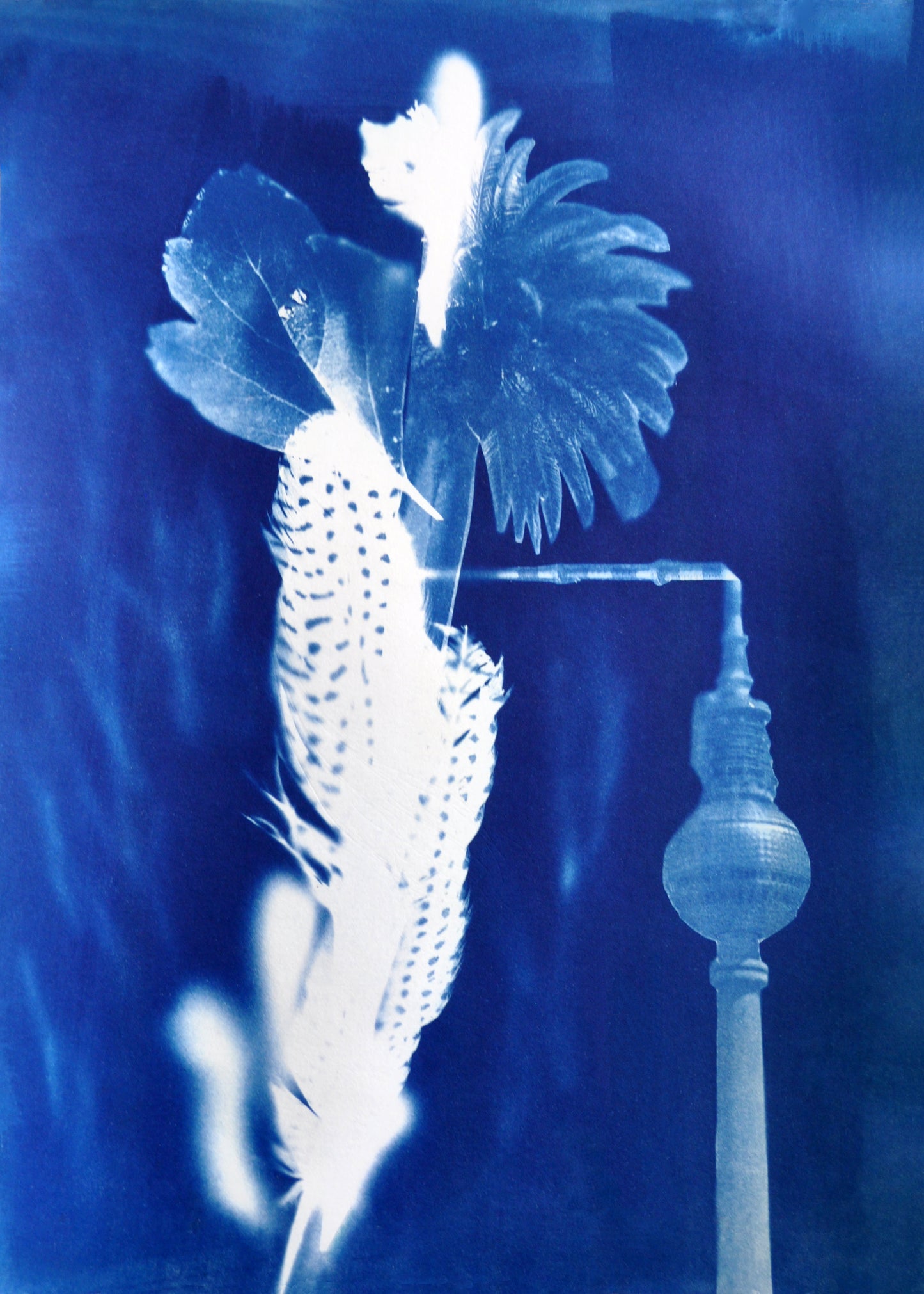 Private cyanotype workshop for individuals and groups